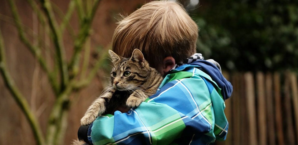 Los gatos y los niÃ±os